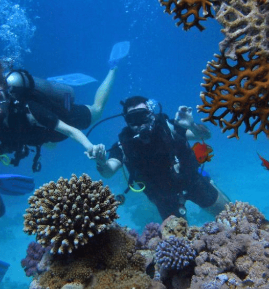 SCUBA IN GOA